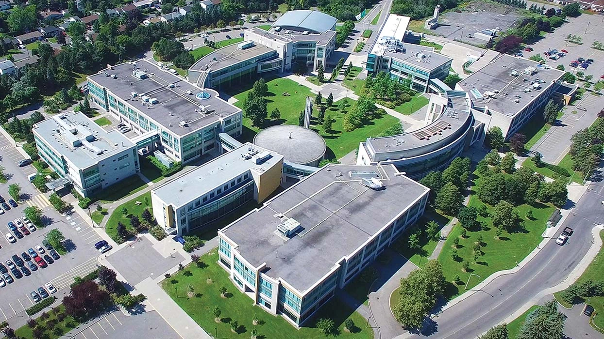 Programme d'été pour les jeunes